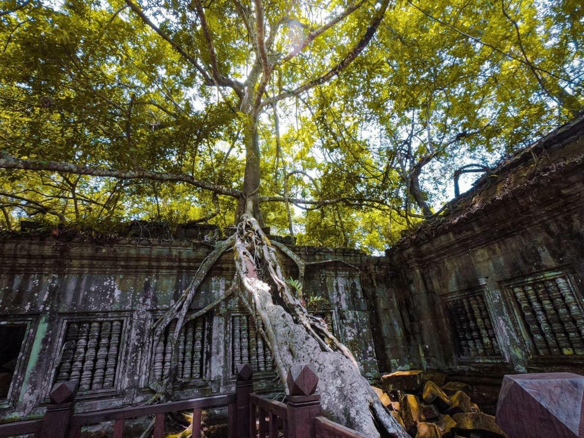 Anachak Angkor Residence Ciudad de Siem Riep Exterior foto